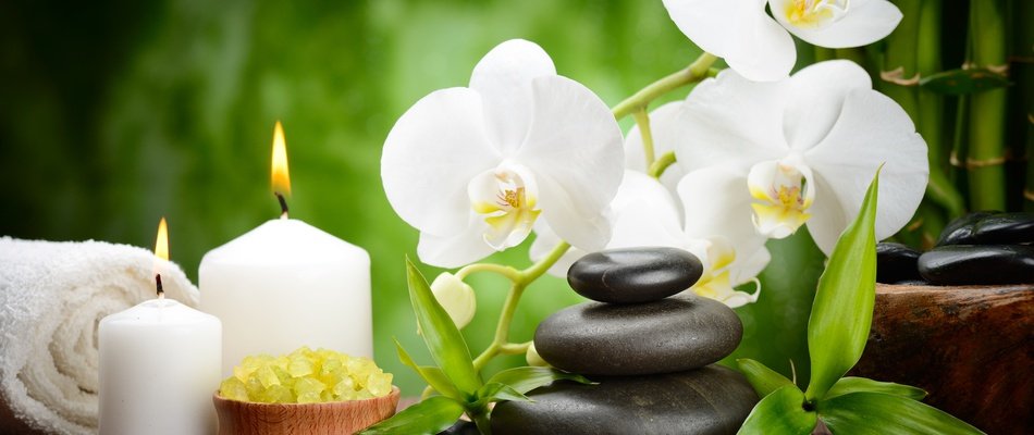 Massage aromatique Magic Natura Animal, Waterpark Resort Benidorm Massage aromatique Magic Natura Animal, Waterpark Resort Benidorm