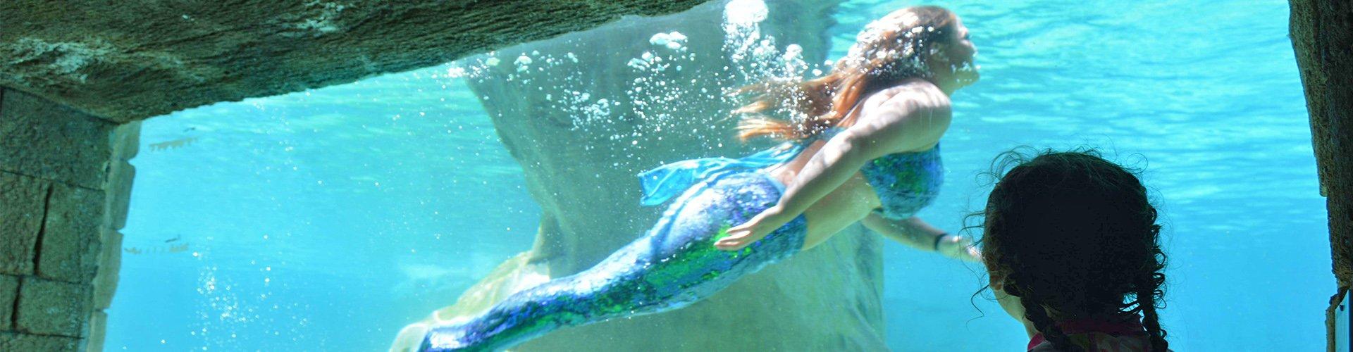 Magic Natura Animal, Waterpark & Polynesian Resort - Benidorm - Magic Natura Animal, Waterpark & Polynesian Resort - Benidorm -