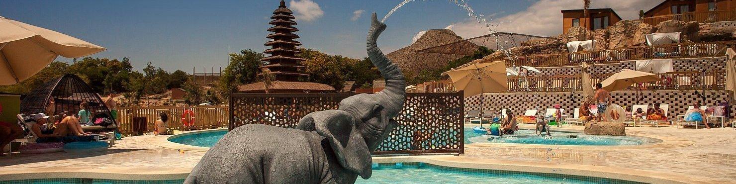 Magic Natura Animal, Waterpark & Polynesian Resort - Benidorm - Magic Natura Animal, Waterpark & Polynesian Resort - Benidorm -